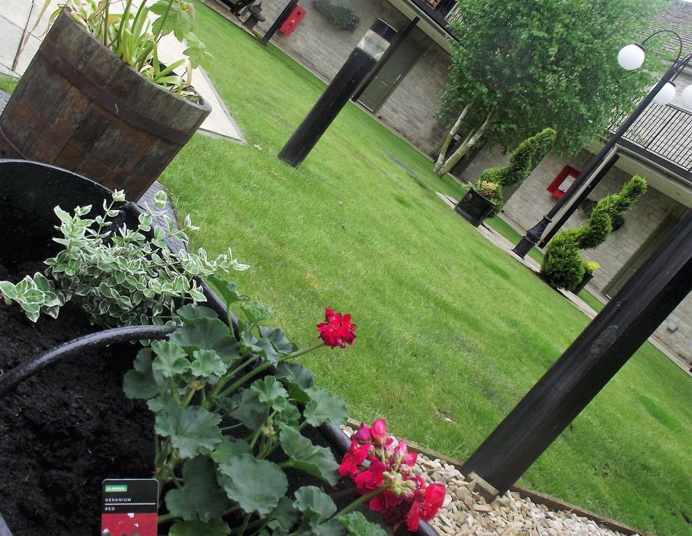 Sturdys Castle Motel Kidlington Bagian luar foto