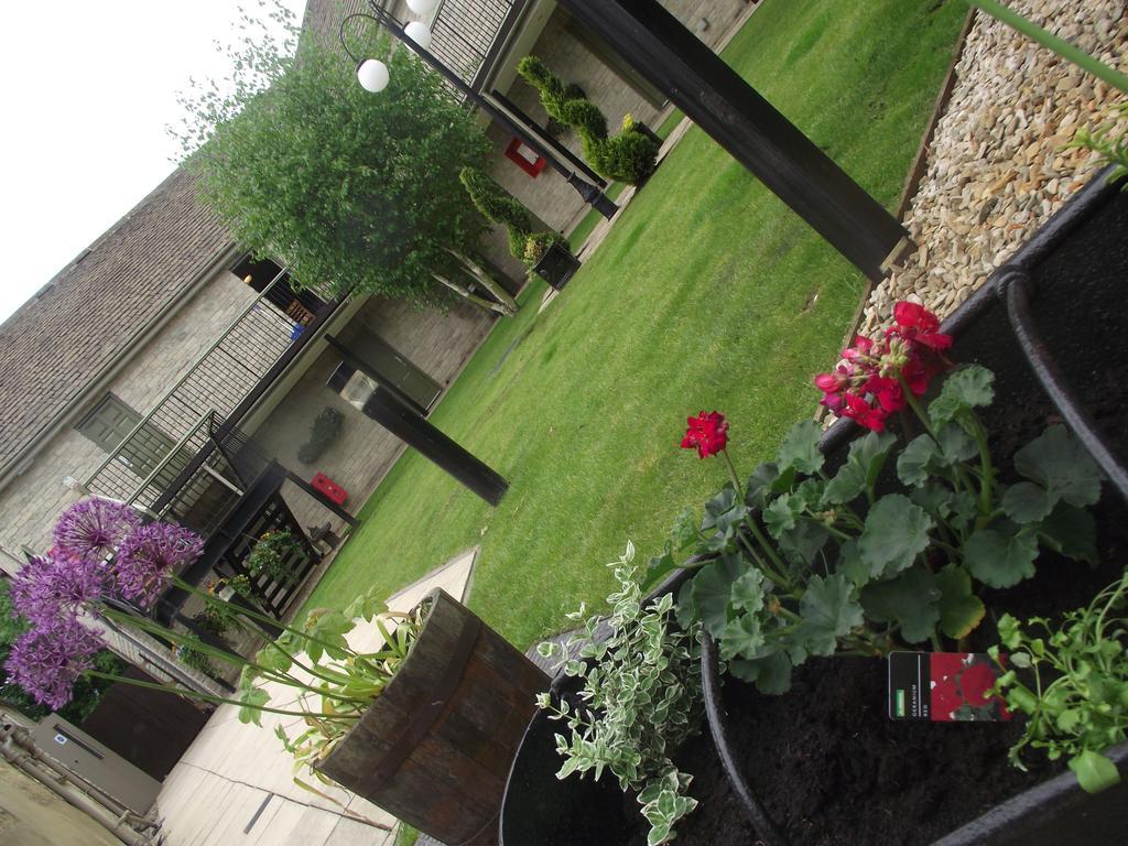Sturdys Castle Motel Kidlington Bagian luar foto